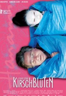 Kirschblüten - Hanami