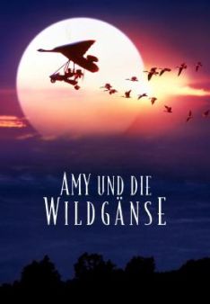 Amy und die Wildgänse