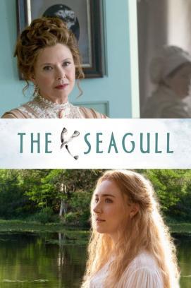 The Seagull - Eine unerhörte Liebe stream