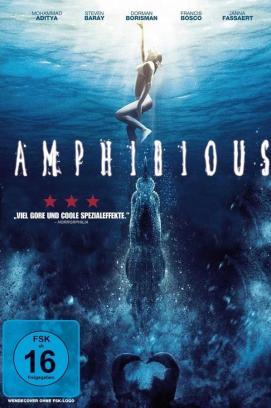Amphibious stream