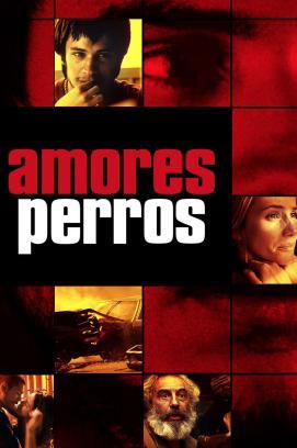 Amores perros stream