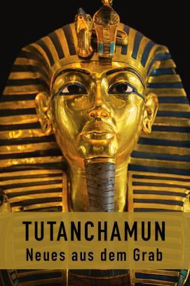 Tutanchamun - Neues aus dem Grab stream