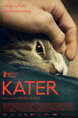 Kater stream