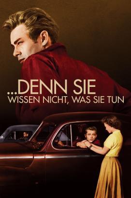 Denn sie wissen nicht, was sie tun stream