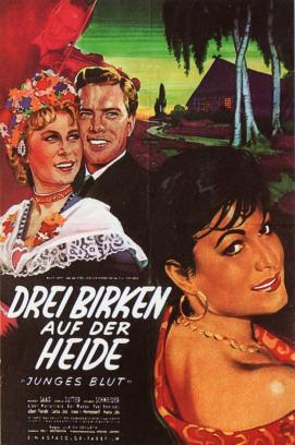 Drei Birken auf der Heide stream