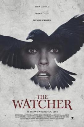 The Watcher stream