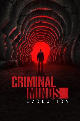 Criminal Minds - Staffel 19 stream