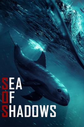 Sea of Shadows – Kampf um das Kokain des Meeres stream